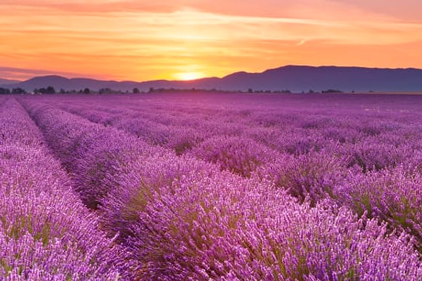 7. Выберите цвет, не думая: