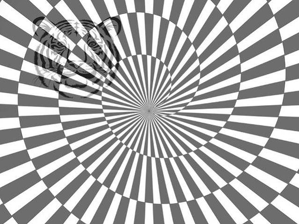 Посмотреть ответ: