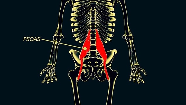 Psoas kası diyaframla bağlantılı olduğu için nefes alıp vermeyle de yakından ilişkili. Bu da psoasın anksiyete ve korkuyla bağlantılı olan fiziksel semptomlardan etkilendiği anlamına geliyor.