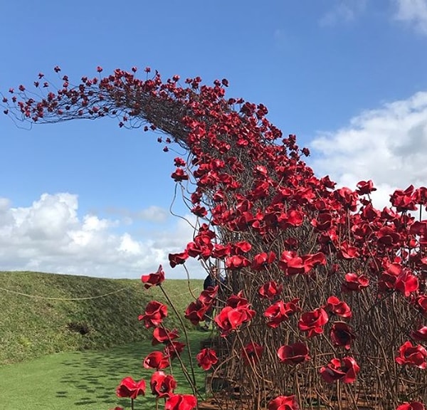 13. «Волна маков» - это статуя, построенная в память о солдатах, погибших в Первой мировой войне.