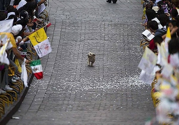 5. Насколько эффектно ваше появление в незнакомом месте?