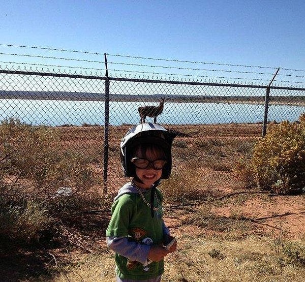 7. Или кто-нибудь из крупного рогатого скота :)