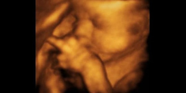 21. "Эй, потише там! Тут кое-кто пытается урвать хоть немного сна!"