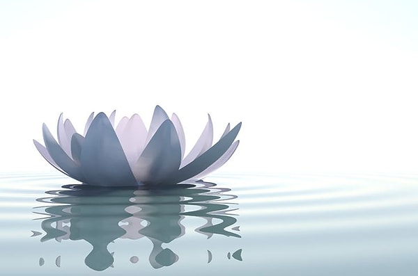 11. Фэншуй способен помочь вам в...