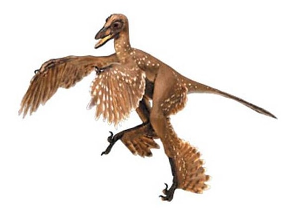 7. Птицы являлись обитателями Земли уже во времена динозавров.