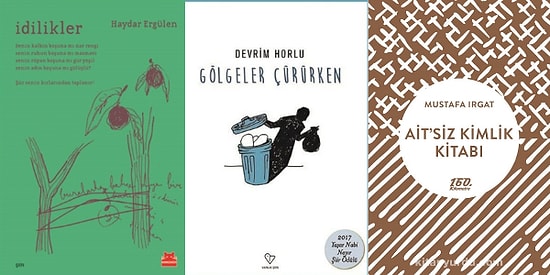 Okurken Ruhunuzun Derinliklerinde Hissedeceğiniz Yakın Dönemin 13 Türkçe Şiir Kitabı