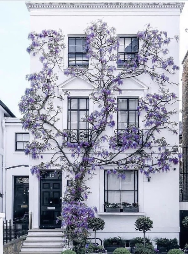 13. Сложно поверить в то, что все это получилось естественным образом