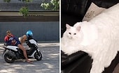 Обман зрения, или 20 фотографий, которые станут причиной взрыва вашего мозга