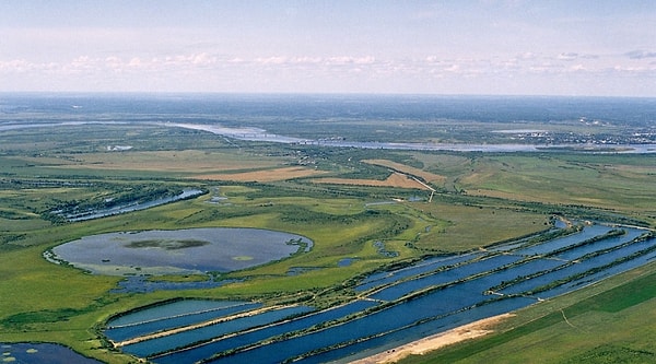 10. С чем НЕ соседствует Амурская область?