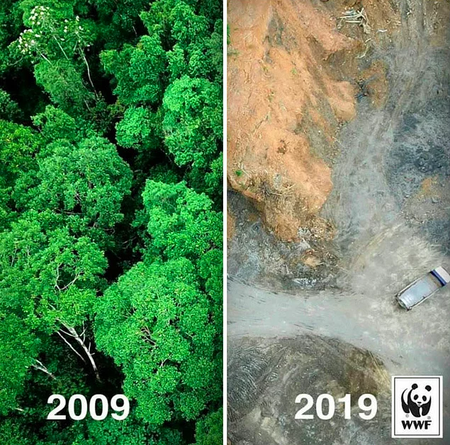 25 неудобных фото #10yearschallenge о том, как изменилась наша планета за 10 лет