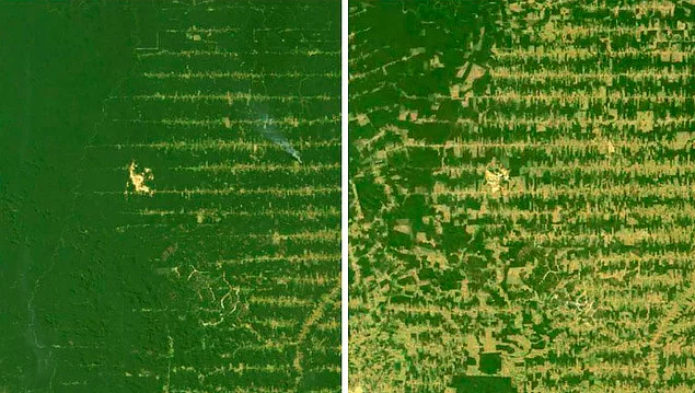 Леонардо Ди Каприо основал фонд по защите окружающей среды и на днях опубликовал снимки штата Рондония в Бразилии, где видны последствия вырубки дождевых лесов Амазонии.