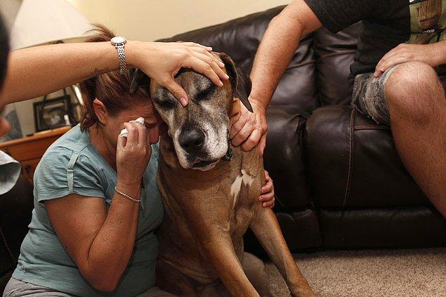 11. Wendy Lehr, köpeği Mimosa'ya son kez sarıldığında ağlamaya başlıyor. Eşi Rich ise onu rahatlatmaya çalışıyor.