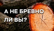 Тест: А не бревно ли вы случайно?