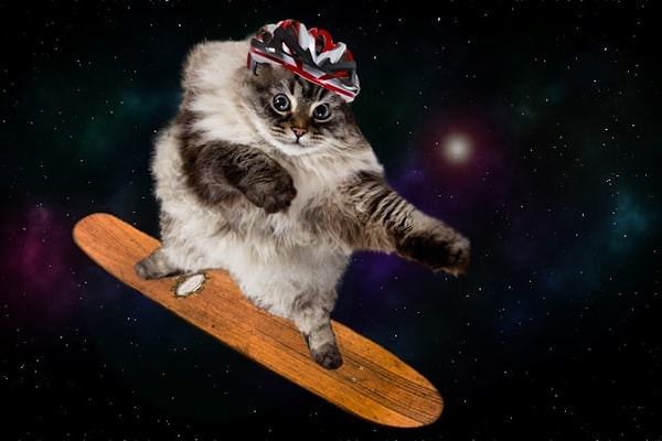 9. Вы считаете эту картинку абстракцией?