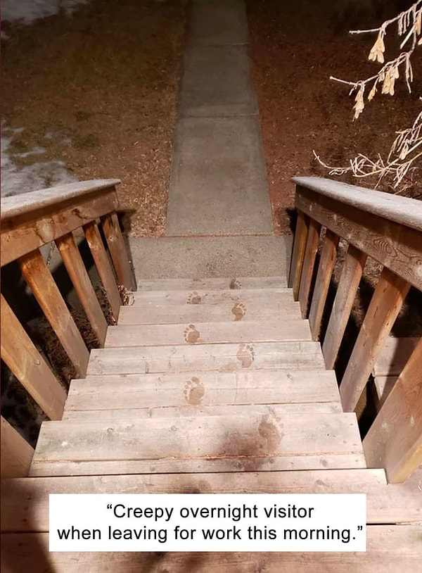 11. Когда кто-то неизвестный и босой пришел навестить тебя ночью, но передумал.