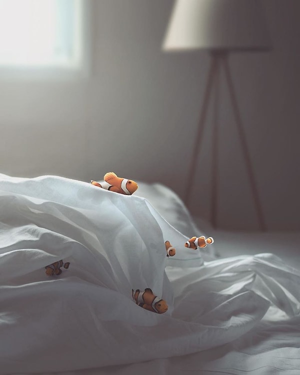 14. Рыбки так успокаивают по утрам