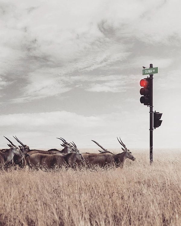 27. Когда терпеливо ждешь своей очереди