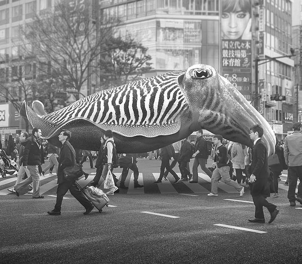 33. Среди невидящей толпы