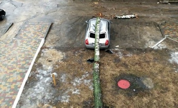 15. А в категории "Везунчик года" выигрывает хозяин этого авто!