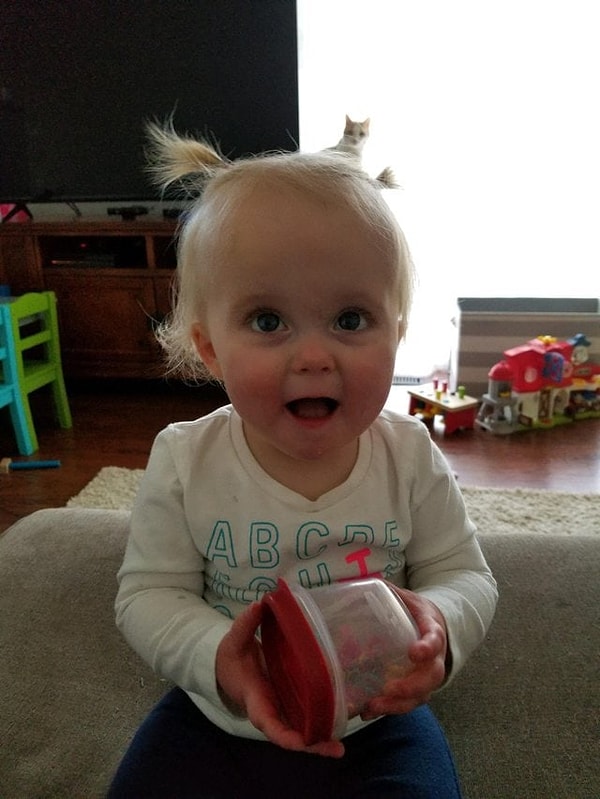 3. Котик замаскировался, но мы его нашли!