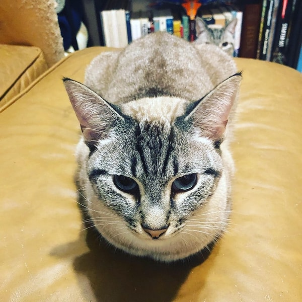 6. Большой брат следит за тобой!