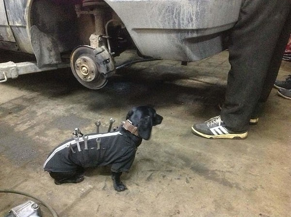 8. Что будет, если инструменты вдруг убегут?