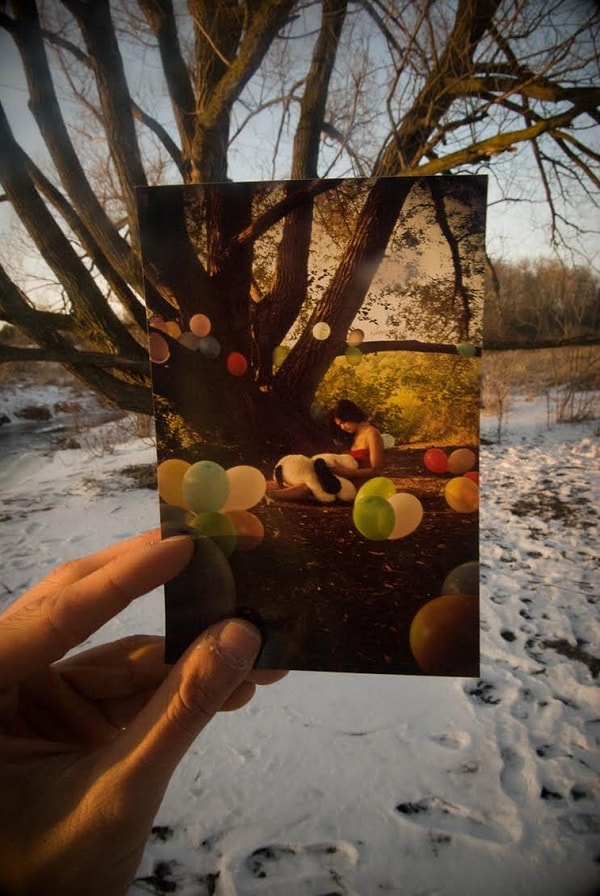 17. Под тем же деревом