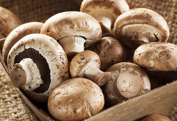 3. Могут ли веганы принимать в пищу грибы?
