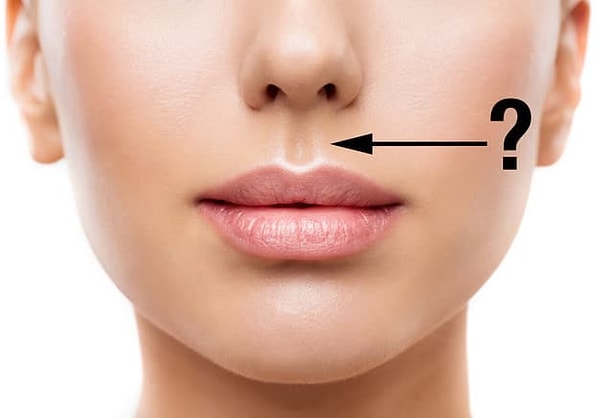 7. Как называется часть лица между носом верхней губой?