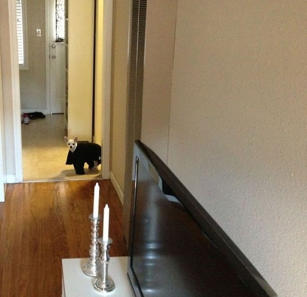 6. "Ой, а ты уже дома?"