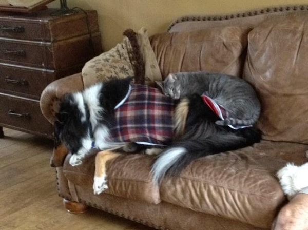 23. Разве это не мило?