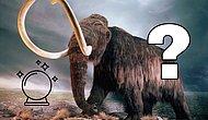 Тест: Какое доисторическое существо является вашим тотемным животным?