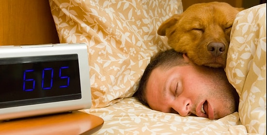 Sabahları Sen Kimsin?