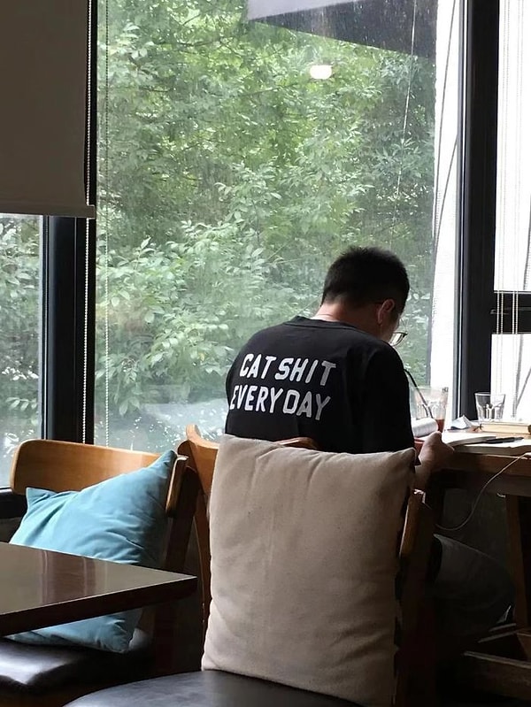 12. «Кошка какает каждый день». Америку открыл.