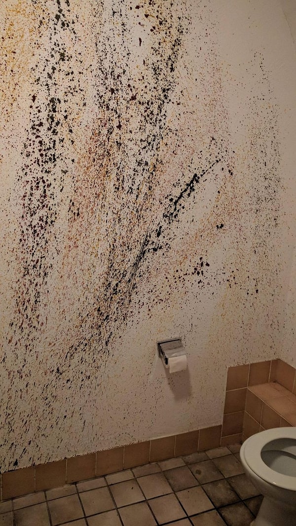 18. Дизайн стены в туалете 👍💩