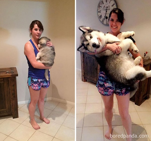 9. С разницей в 12 недель