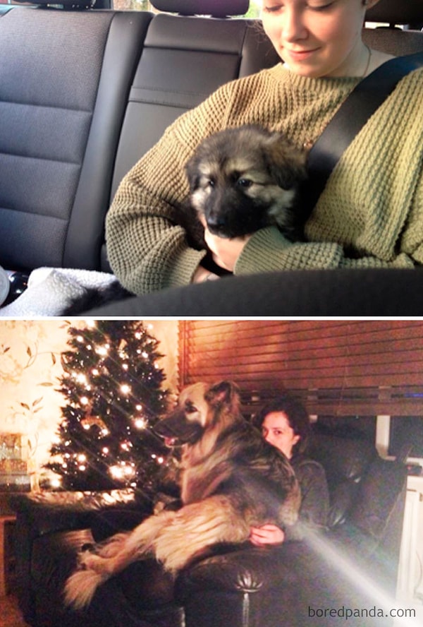 19. За два года многое изменилось