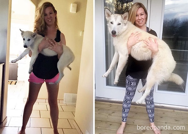 24. Выросла немного