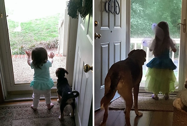 37. "Дочка и ее собака, 3 года спустя. Мы получили собаку в возрасте 8 недель, когда моей дочери исполнился годик. Они неразлучны"