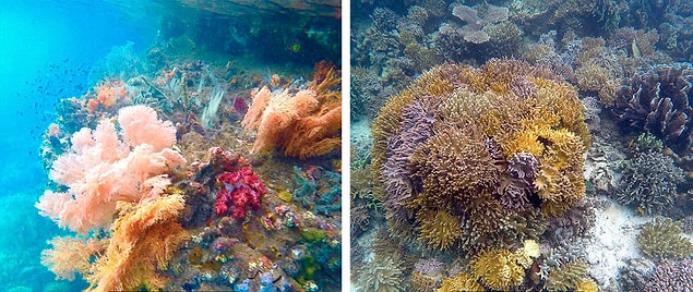9. Raja Ampat Adaları / Endonezya