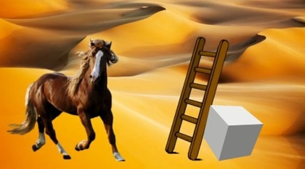 8. Она привязана или гуляет по пустыне свободно?