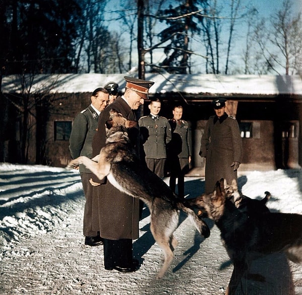 7. А знаете кличку собаки Гитлера?