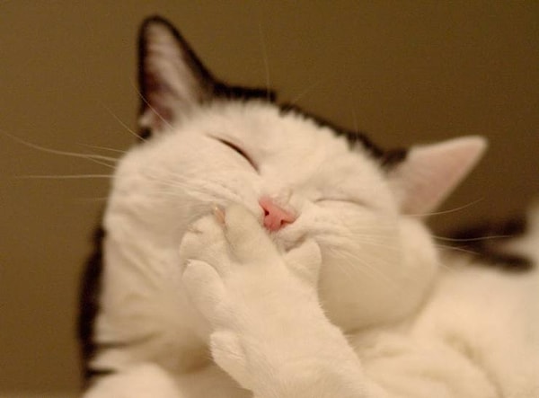 12. Когда он сказал, что ты и без макияжа красивая