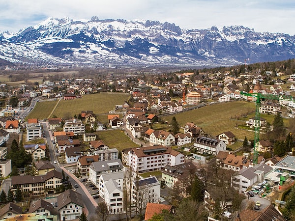 2. Официальный язык Лихтенштейна?