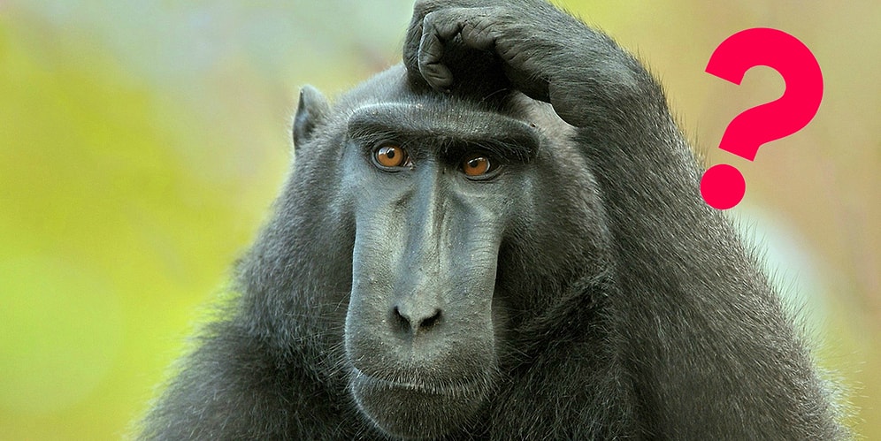 Тест: Пройдите наш тест и узнайте, правильно ли вы ставите ударения