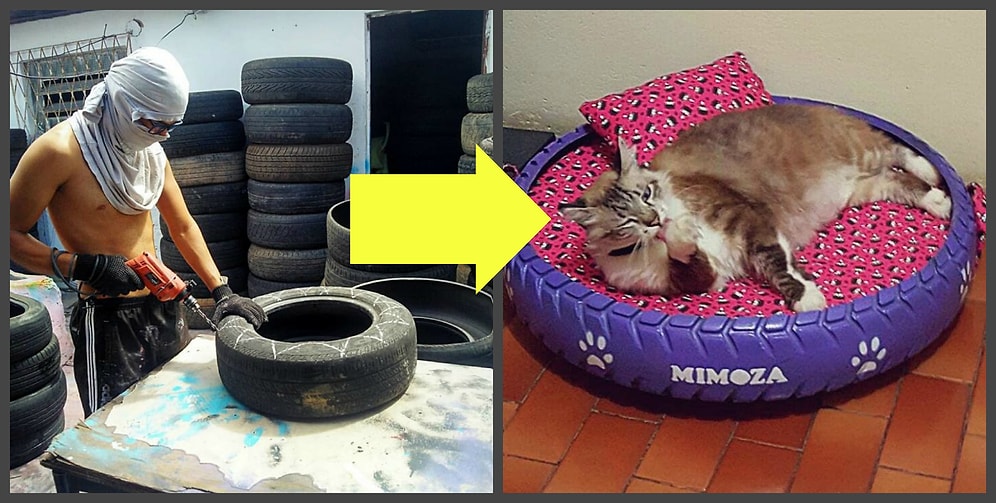 Парень из Бразилии делает из старых шин крутые лежанки для животных