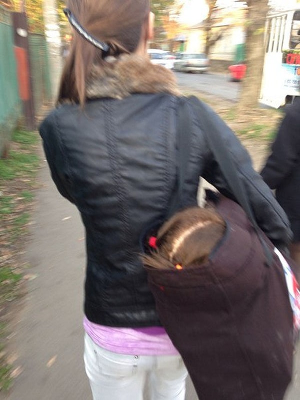 14. Мама с дочкой на прогулке или криминал?