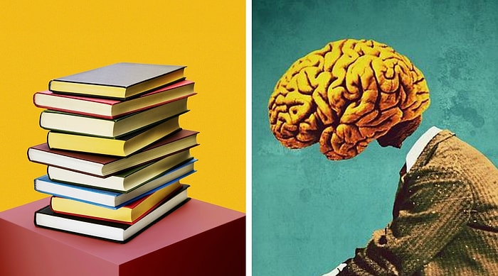 Тест на интеллект: Сможете ответить хотя бы на 5/7 вопросов или у вас не хватит ума?