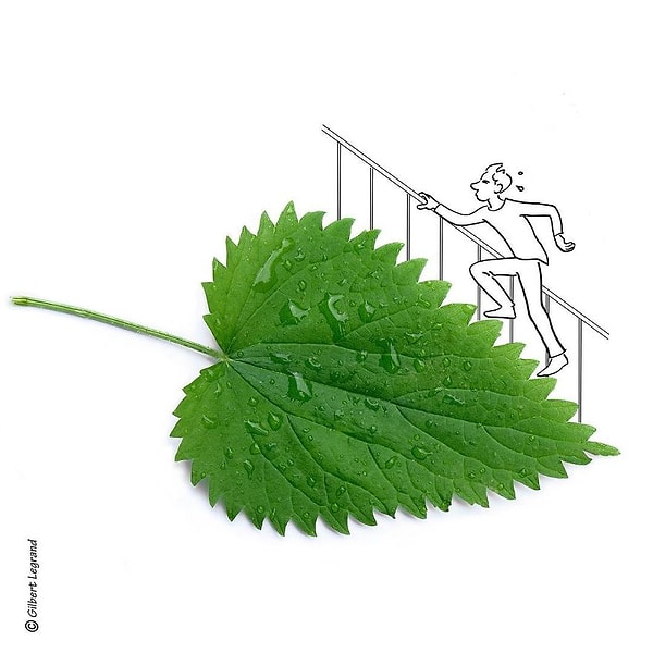 42. Чертов лифт, снова сломался