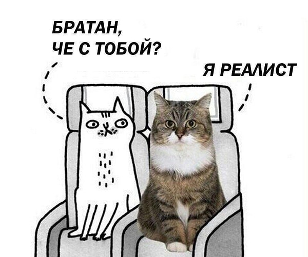 Вы на 100% реалист!
